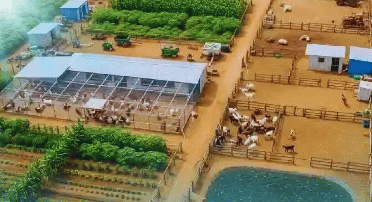 دراسة جدوى مشروع مزرعة متكاملة